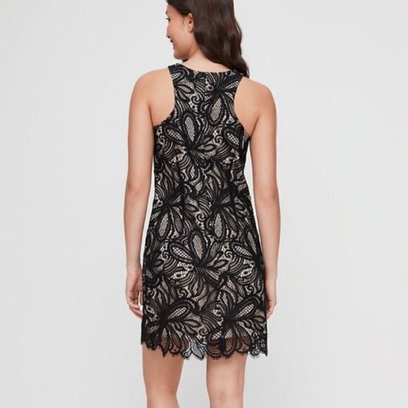 NWT Aritzia Babaton Henry Lace Dress - Picture 2 of 8